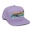 Snapback baseball caps